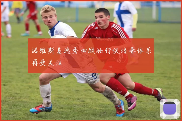 诺维斯基选秀回顾独行侠培养体系再受关注